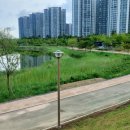 호수공원 제2주차장 이미지