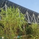 성인태양광발전소 이미지