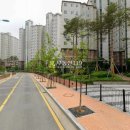 양지로·양지남로 이미지