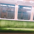 우정경로식당 | 첫 일본 자유여행 5박6일 마무릿!!