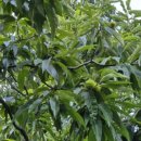 한덕농장 이미지