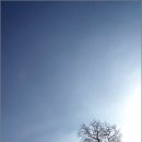 겨울나그네 이미지