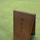 라페스타 F동 | 라페스타 고기집[제주 돌돗] 프리미엄숄더랙 찐 후기