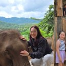 Living Gym 이미지