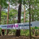 「국립대관령치유의숲」 &#34;맨발걷기, 님(林)과 함께 걸어요! &#34; (후기)