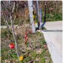 의항해수욕장 입구 이미지