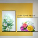 벨피움