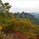 구봉산 티스토리