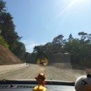 내속목장 이미지