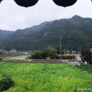 임계초 문래분교장 이미지