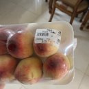 포도나무민박 이미지