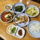 (후)주식회사 엠코중앙 화곡 | 241201: 동루골막국수, 비마트 고기파전, 참치쌈장, 식세기 클리너, 고양이 폐 침윤, 첫눈, 최월선...