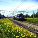 (주)내일여행 이미지