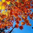 회천행정복지센터앞 이미지