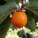 각남면사무소 이미지