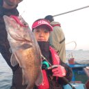 서해 우럭낚시 다시 돌아온시즌 / 더블 물통가득 만만쿨~ 조황 / 당진 장고항 선상낚시 배낚시 / 동산피싱 "동산호" 이미지