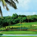 드림펠리체 이미지