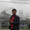 삼천포대교로 이미지