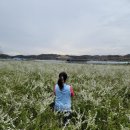 오성농원 이미지