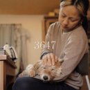 일주농장 이미지