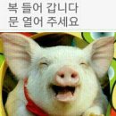 넝쿨채 이미지