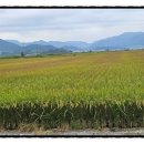 주식회사 산들환경