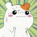 정근 카카오 검색결과