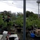 공범농장 이미지