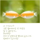 정*규 이미지
