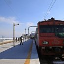자연을 상영하는 기차, 바다열차 & 정선아리랑열차 이미지