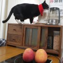 나무로 배우는 목공 교실 이미지