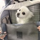 유진동물병원 이미지
