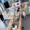 놀러왕왕왕 이미지