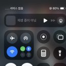 레코 서울 | 250510 검정치마 콘서트 후기 ＂LAST CHANCE TO COME BACK HOME/ 스탠딩 시야 장충 체육관 BACK 456번!