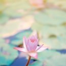 대곡신당 이미지