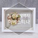 플라워센트·티나 | W28ෆ) 친구결혼선물추천 안산 청첩장과말린부케액자 맛집 하베스티나 후기