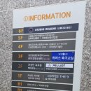 케어포 | [임신] 창원 산전마사지 케어포맘 후기｜임신 후 처음 받은 힐링 마사지🤍