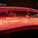 킴리동물병원 이미지