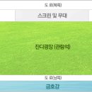 금호강 둔치 축구장 이미지