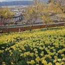 동부목장 이미지