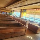 자갈치효소편백원 이미지