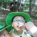 미림 유치원 이미지