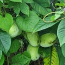 남순천의원 이미지