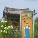 금자네시댁 | 완주군 삼례카페 전주근교 완주 가볼만한곳 <금자네시댁>정원이 예쁜 힐링감성카페 내돈내산