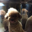 마로동물병원 이미지