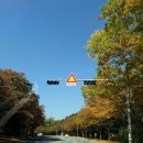 행복한 세탁이야기 이미지