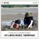 여행 : 아이와 함께 가기 좋은 갯벌체험학습장, 노을맛집 해성펜션 내돈내산 후기, 가족여행숙소로 추천!