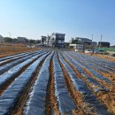 왕버들2농장 이미지