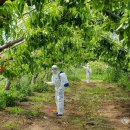 전남대학교 식물방역대학원 이미지