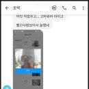 피자알볼로 가오점 | 일상 후기 / 교촌치킨 / 피자헛피자 저녁벙개